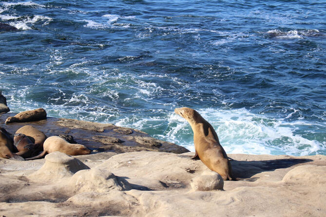 La Jolla, CA