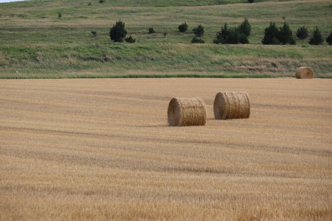 Midwestern USA